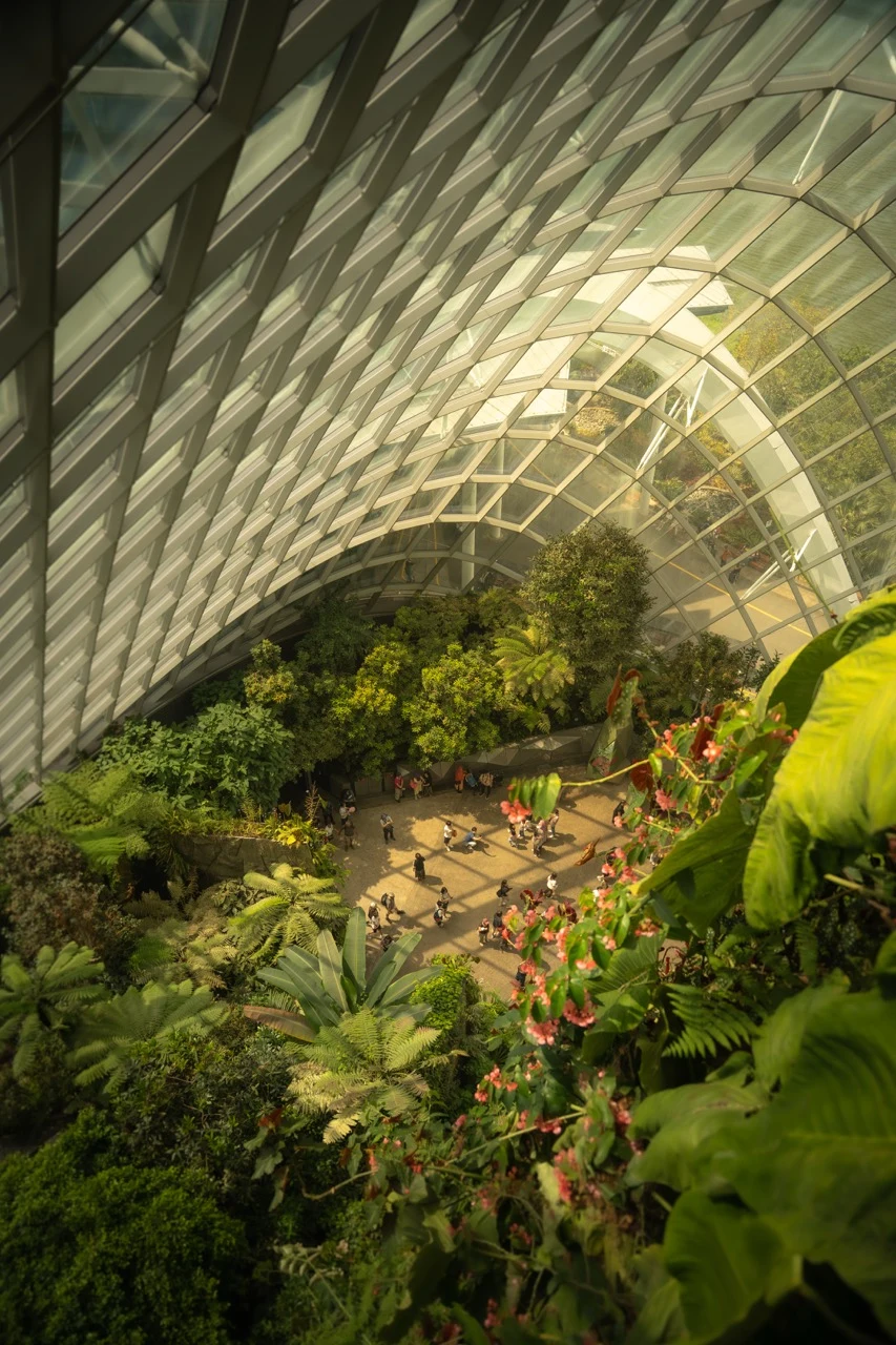 A glass-roofed garden filled with plants